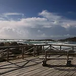 Pipo Sanxenxo