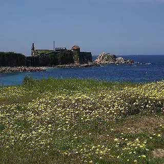 Pipo * Sanxenxo